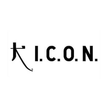 Icon bn